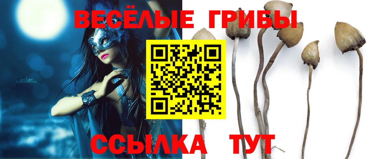 Зима  Псилоцибиновые грибы мицелий  Вход с VPN 
