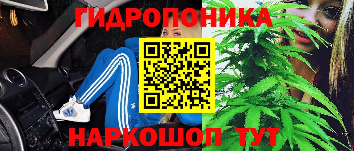Канабис Ganja  Конопля конопля  Зима  Конопля семена  Вход с VPN 